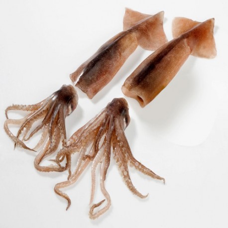 Calamares limpios